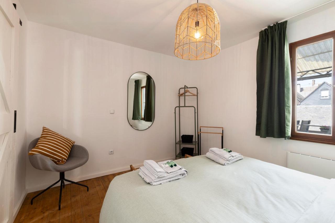 Haus Junge Traube Apartment Брутиг-Фанкел Екстериор снимка